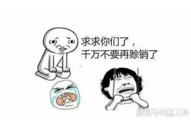 永新贷款清欠服务